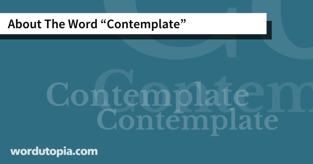 About The Word Contemplate