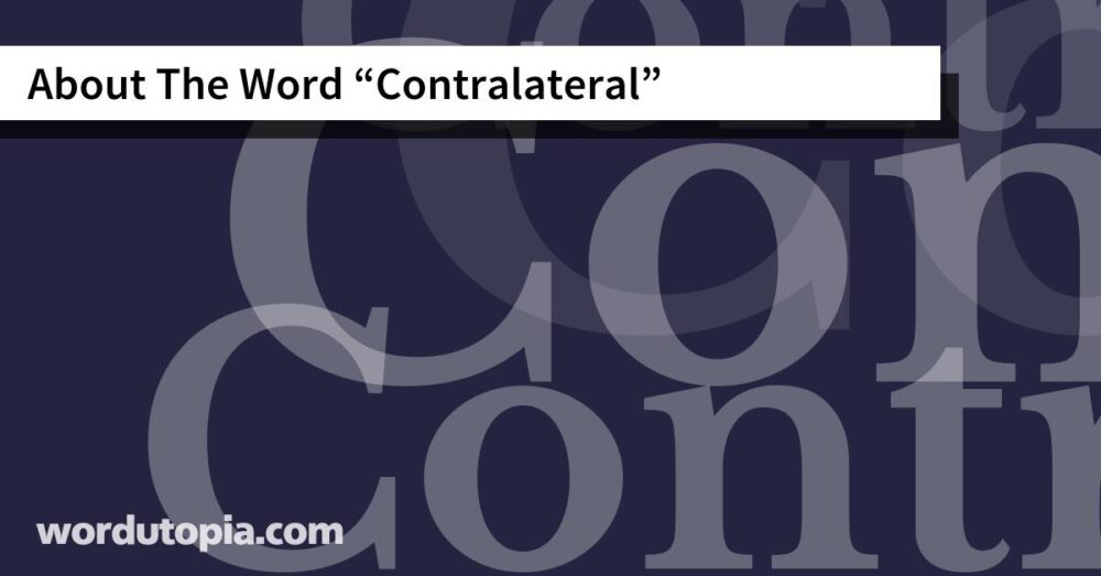 About The Word Contralateral