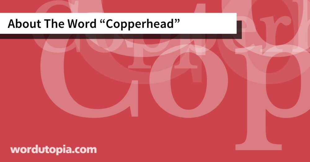 About The Word Copperhead