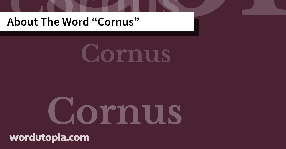 About The Word Cornus