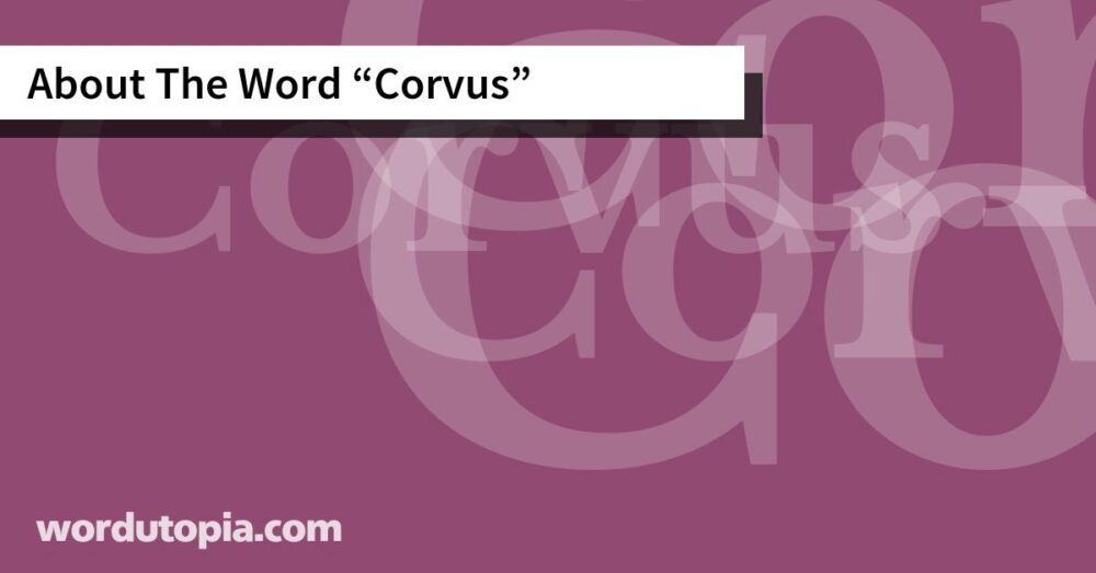 About The Word Corvus
