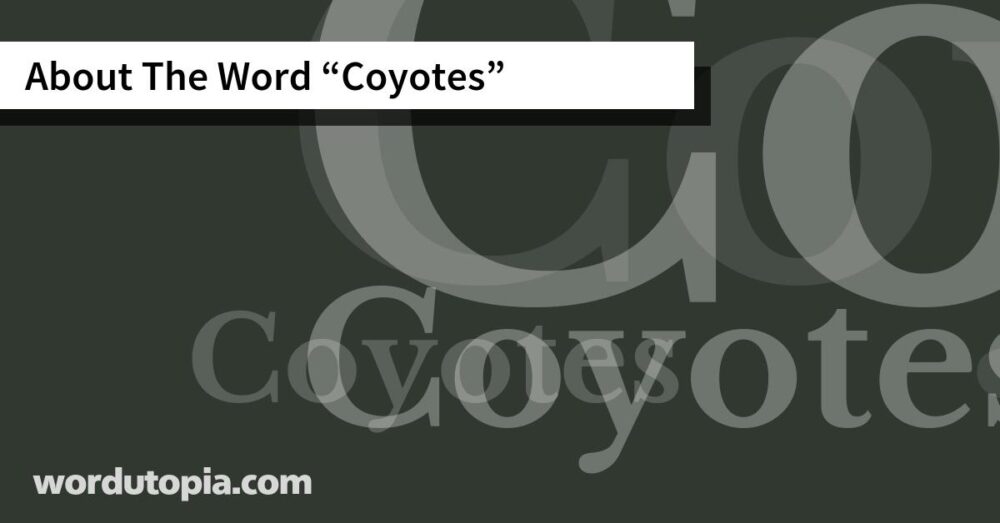 About The Word Coyotes
