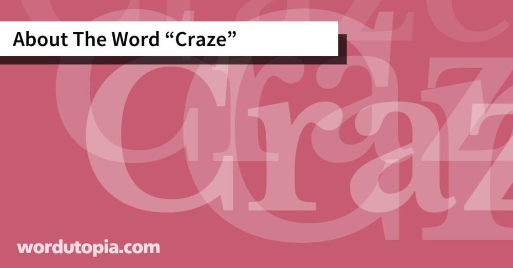 About The Word Craze