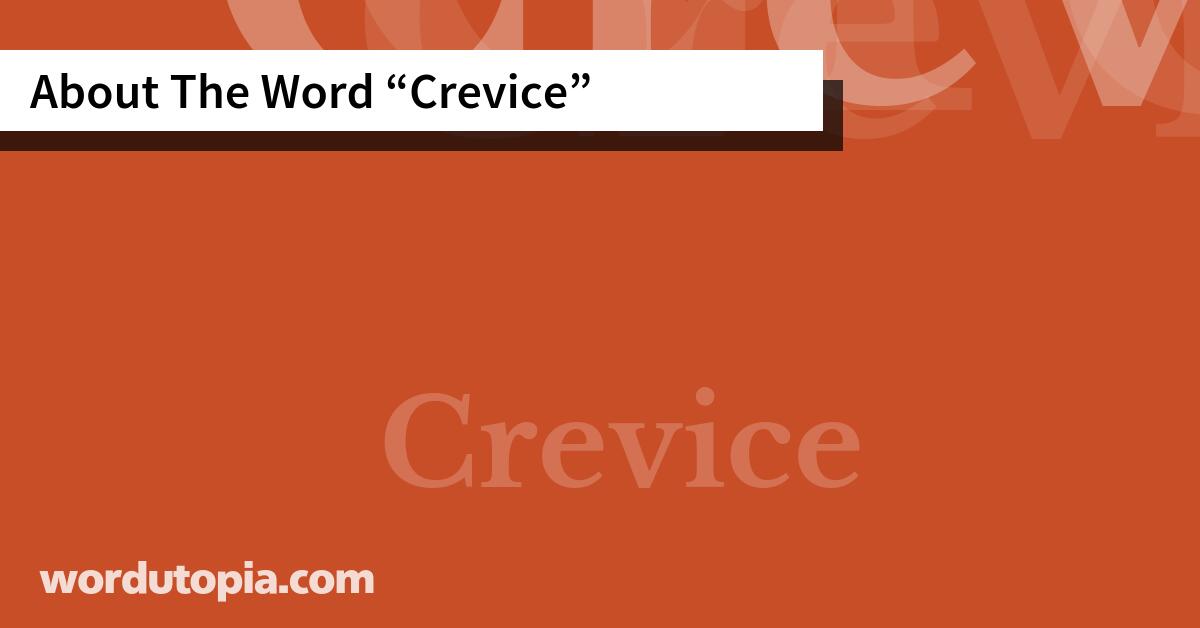About The Word Crevice