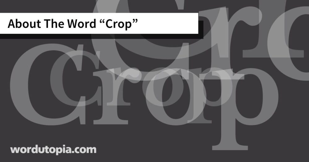 About The Word Crop
