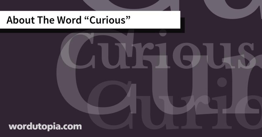 About The Word Curious