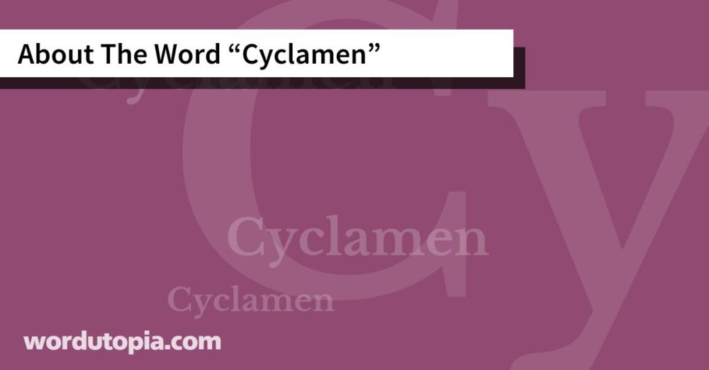 About The Word Cyclamen