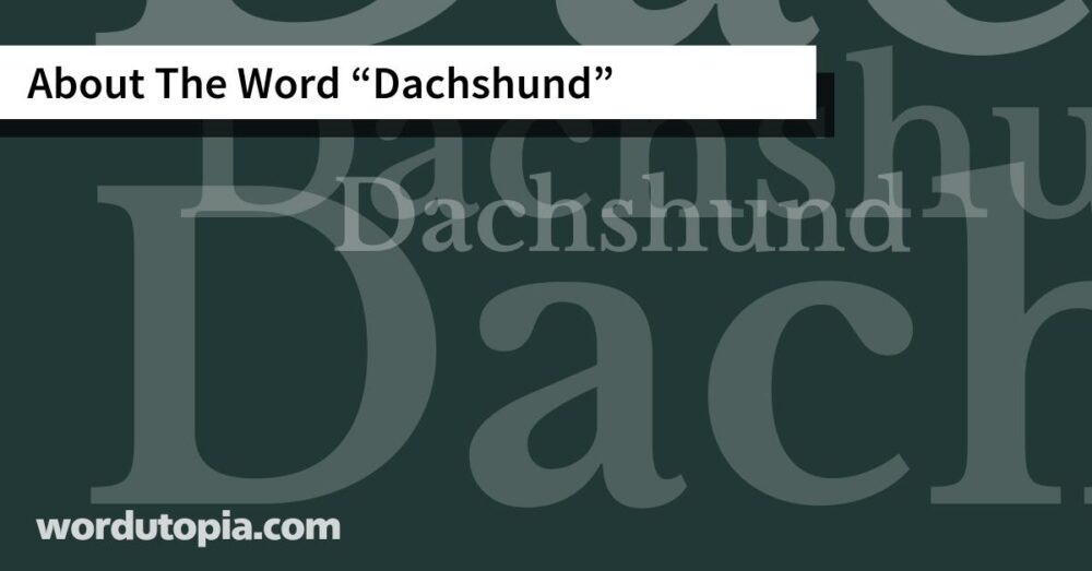 About The Word Dachshund