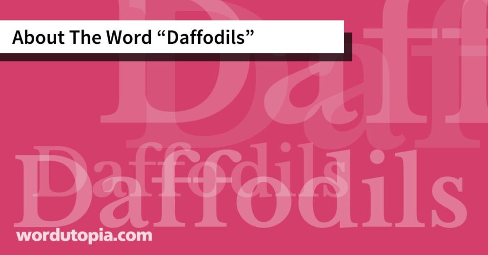 About The Word Daffodils