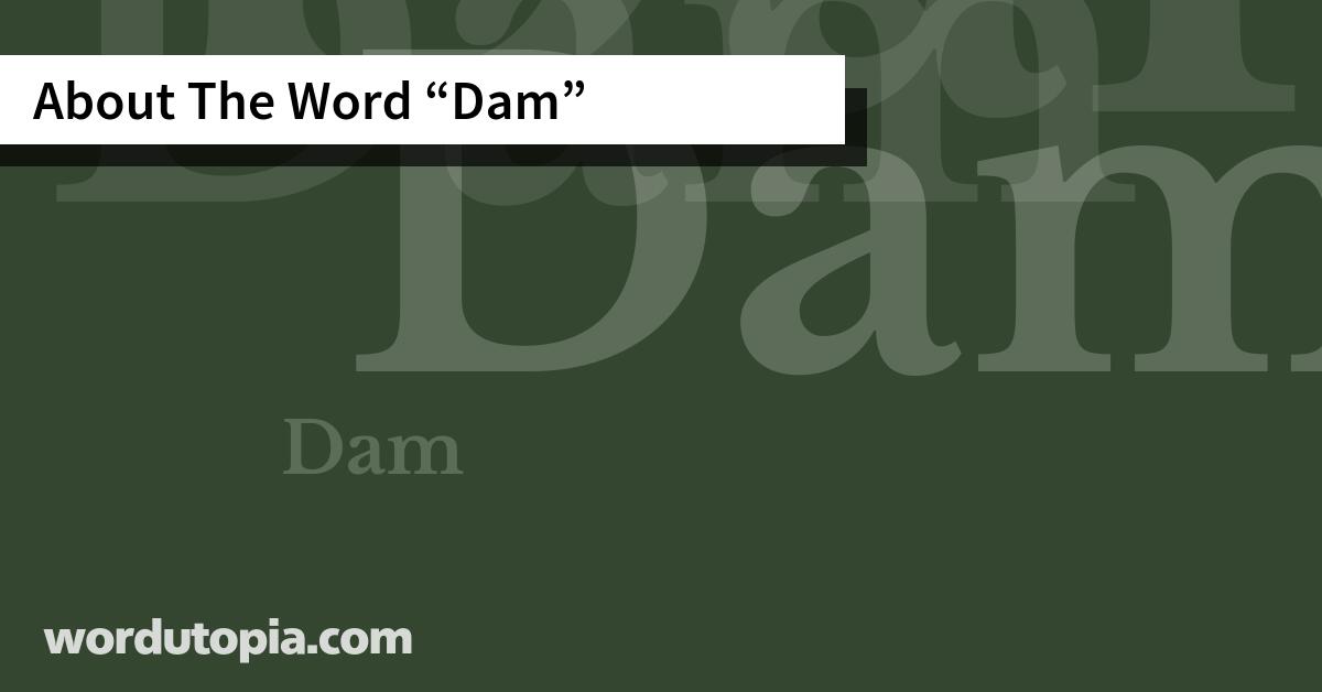 About The Word Dam
