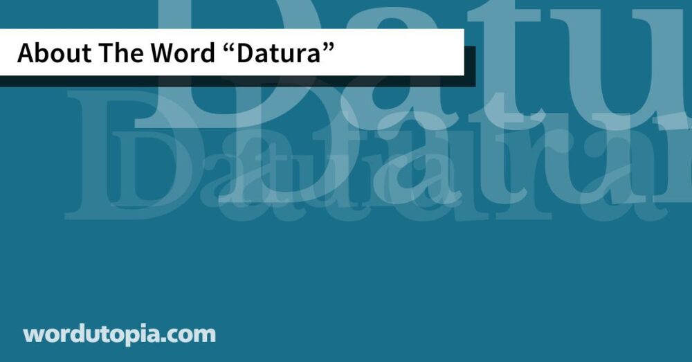 About The Word Datura