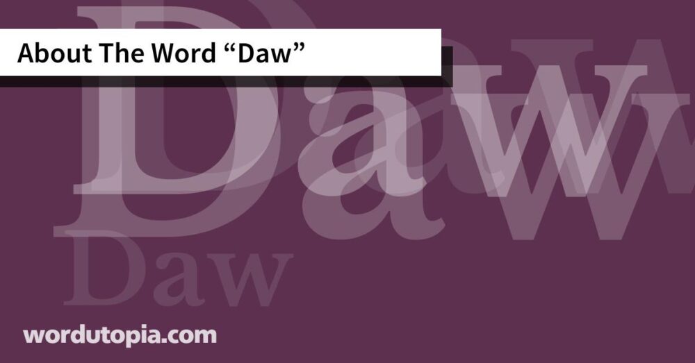 About The Word Daw