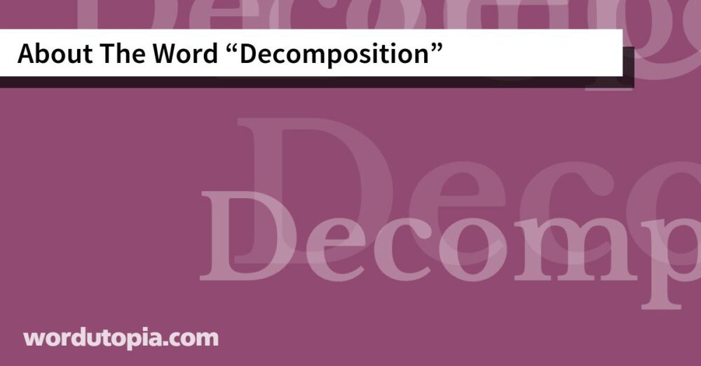 About The Word Decomposition
