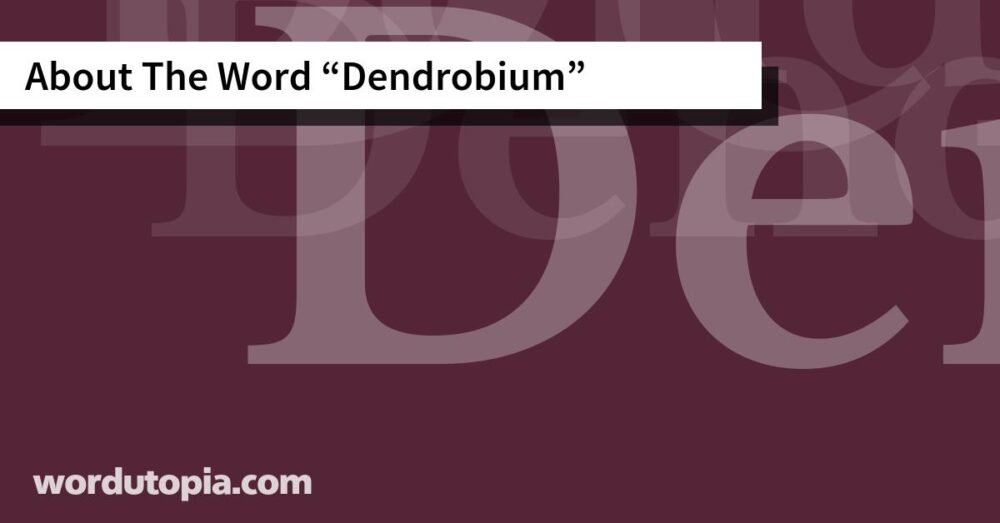 About The Word Dendrobium