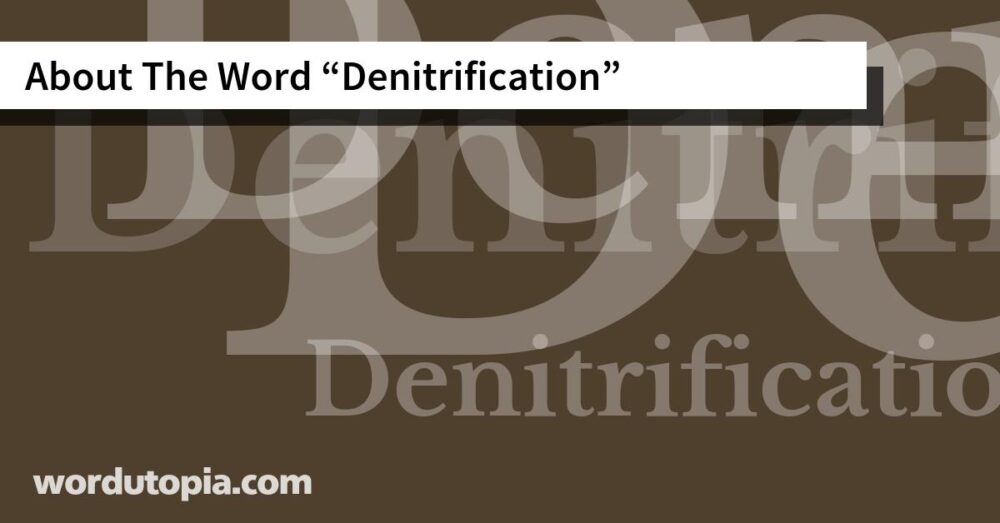 About The Word Denitrification