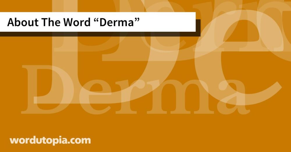 About The Word Derma