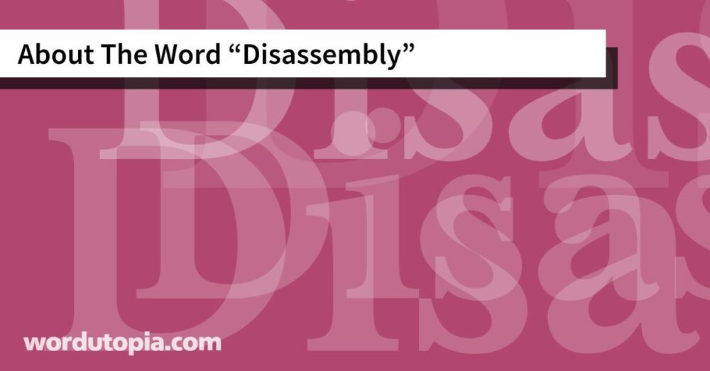 About The Word Disassembly
