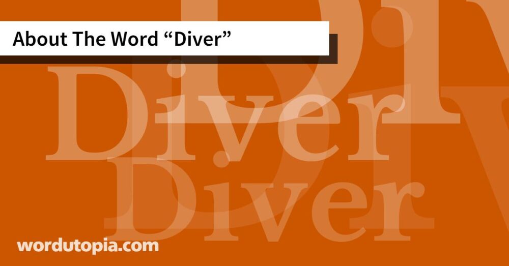 About The Word Diver