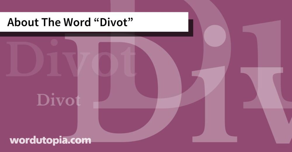 About The Word Divot
