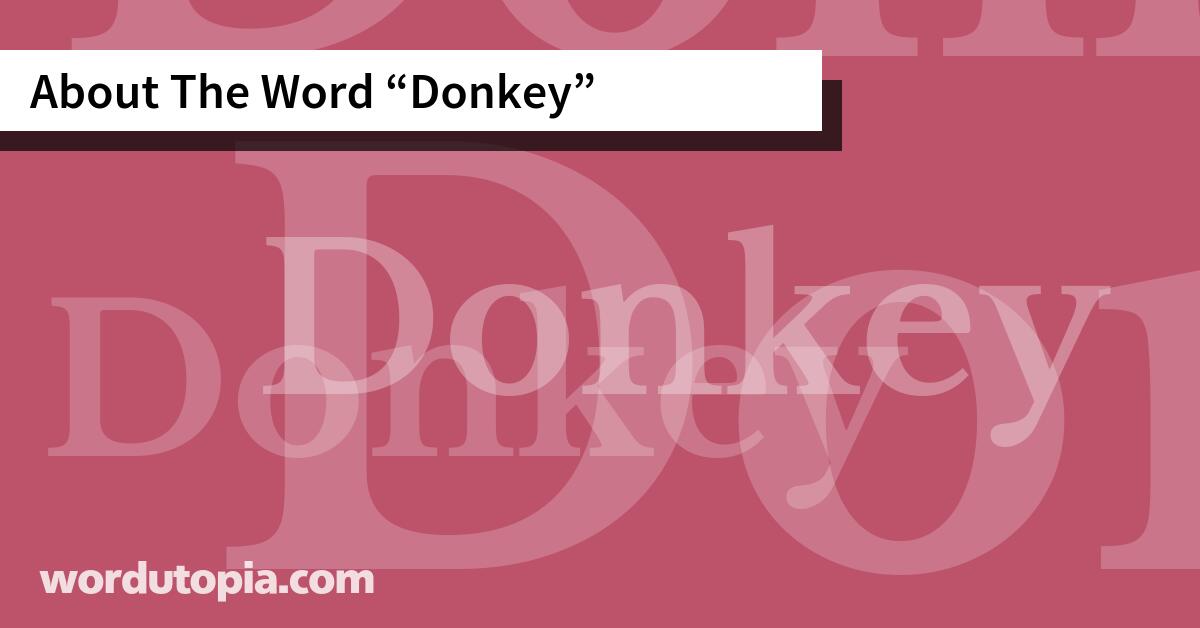 About The Word Donkey