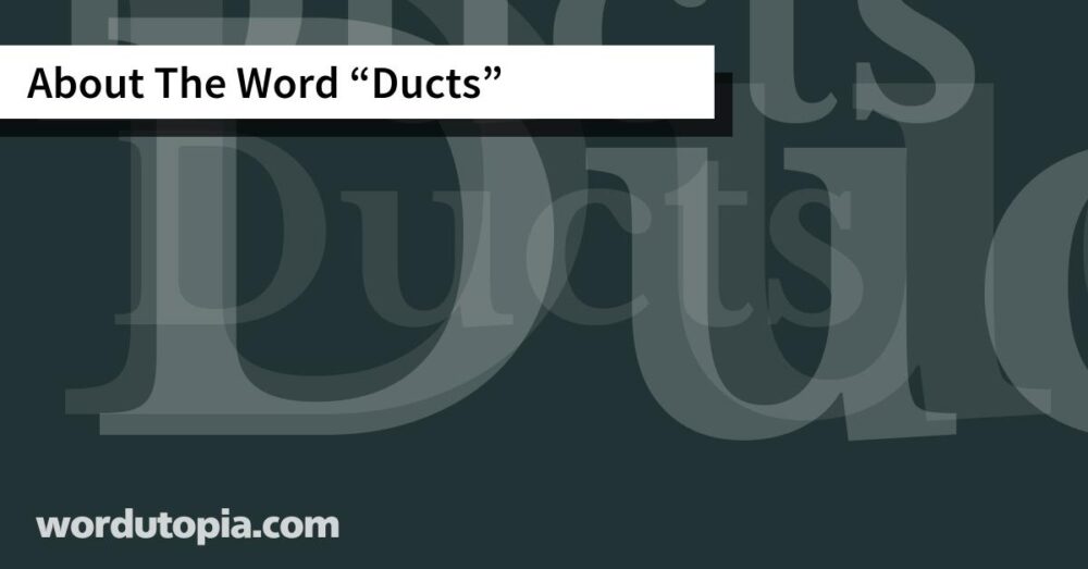 About The Word Ducts