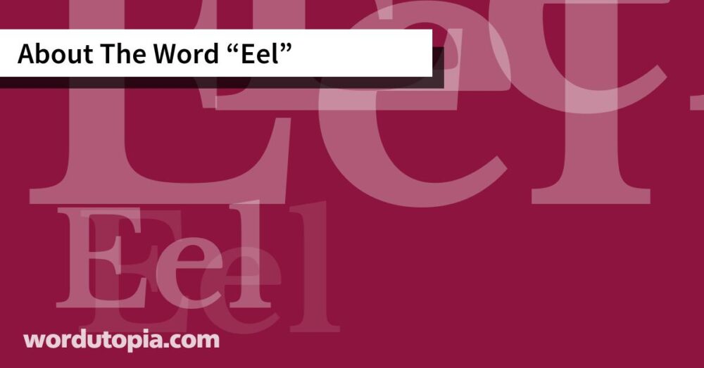 About The Word Eel