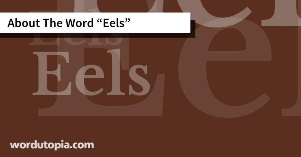 About The Word Eels