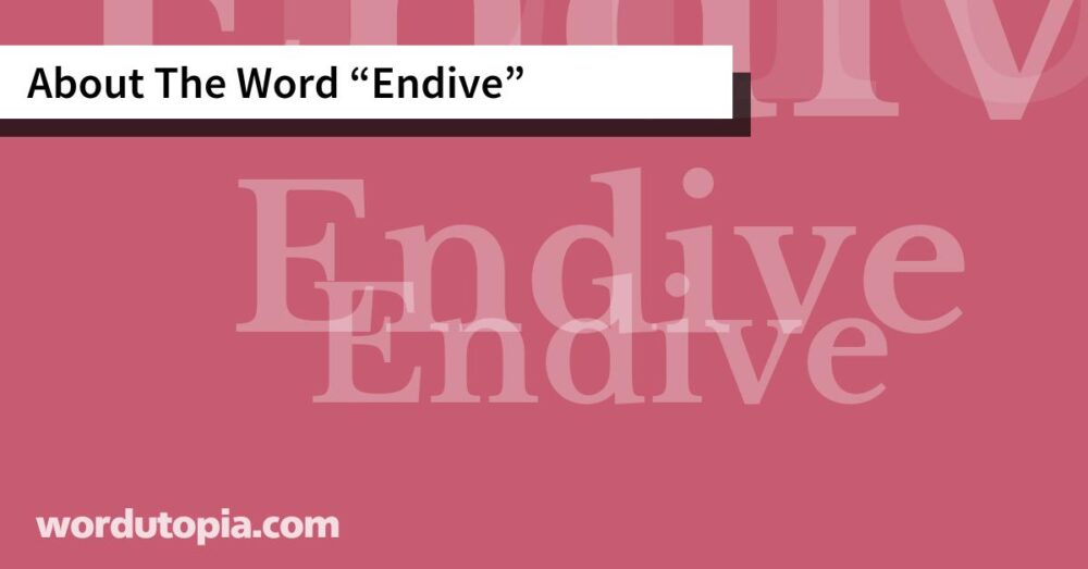 About The Word Endive