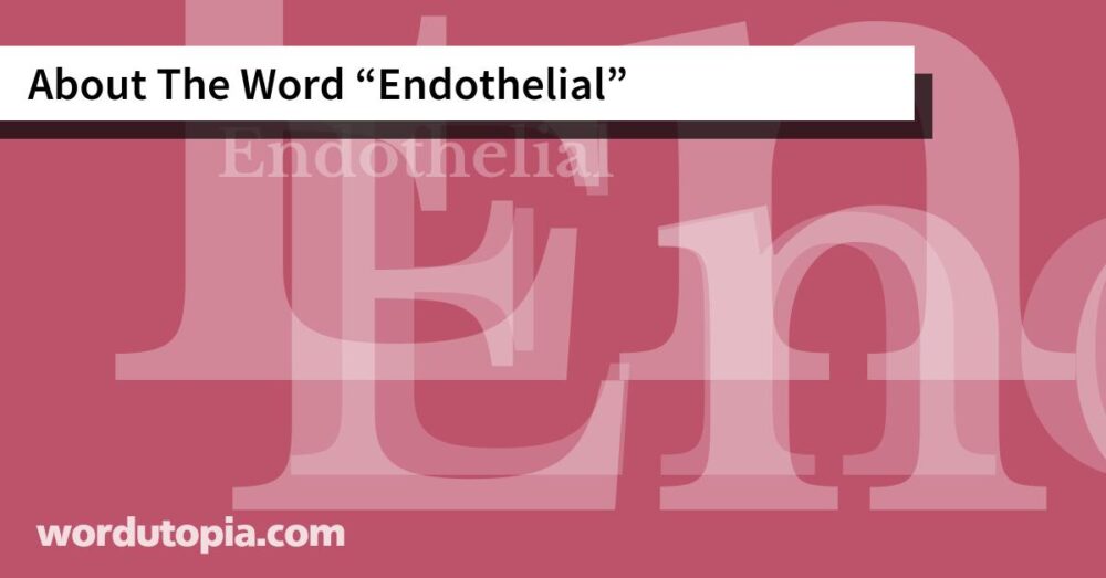 About The Word Endothelial