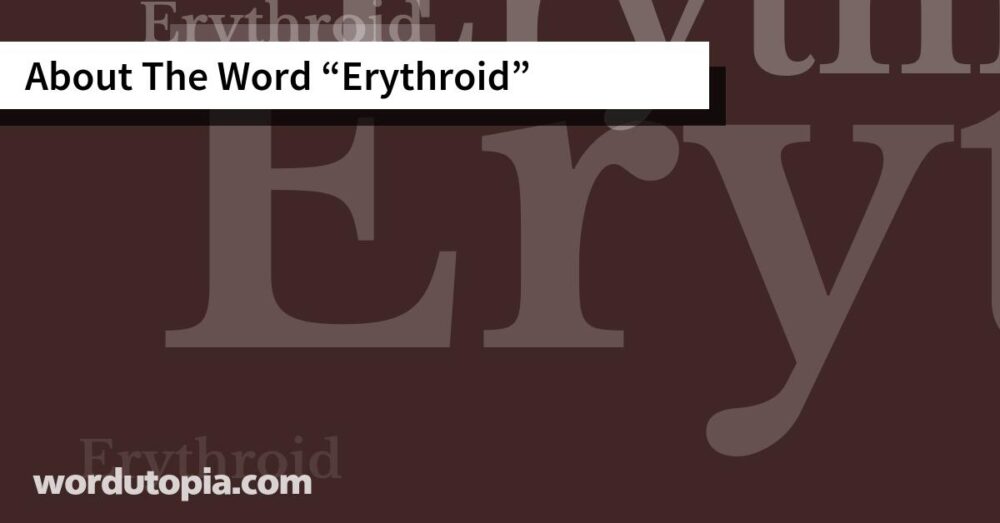 About The Word Erythroid
