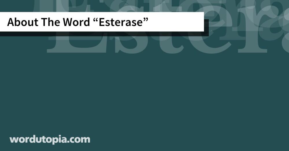 About The Word Esterase