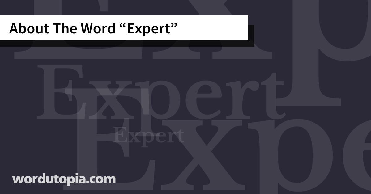About The Word Expert