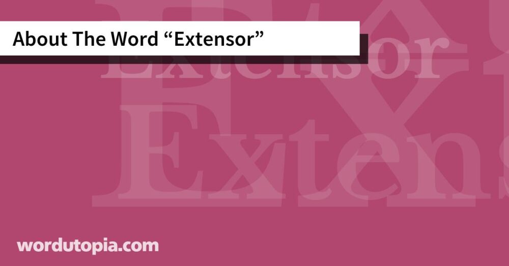About The Word Extensor