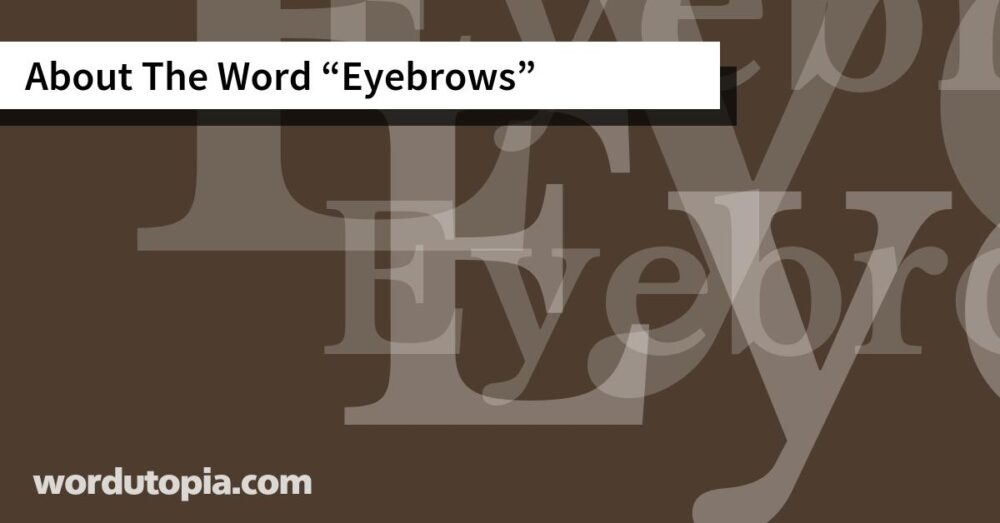 About The Word Eyebrows