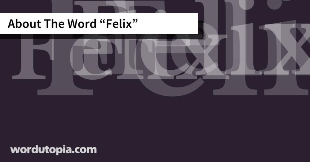 About The Word Felix