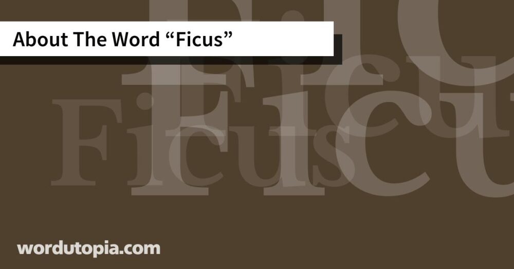 About The Word Ficus