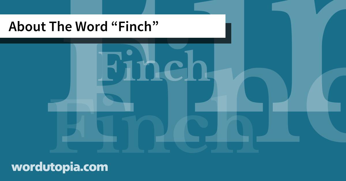 About The Word Finch
