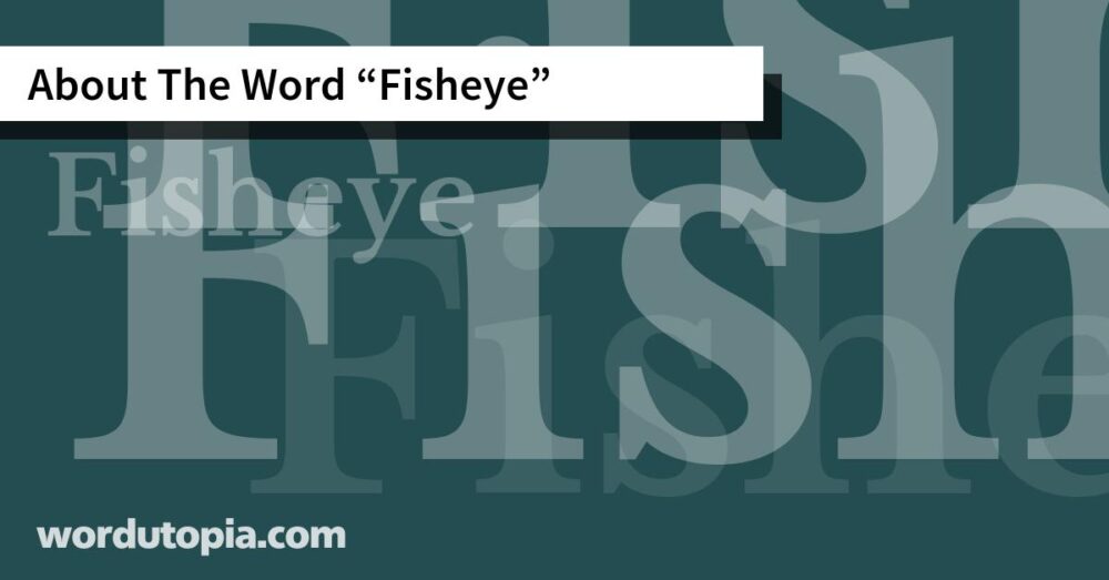 About The Word Fisheye