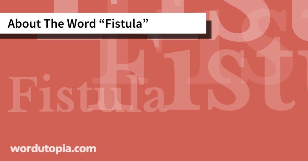 About The Word Fistula