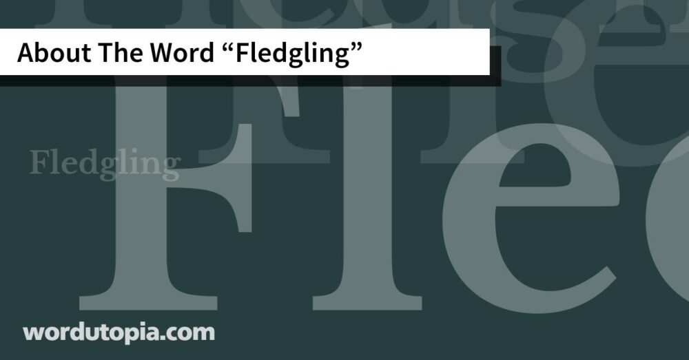 About The Word Fledgling