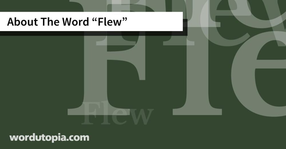 About The Word Flew