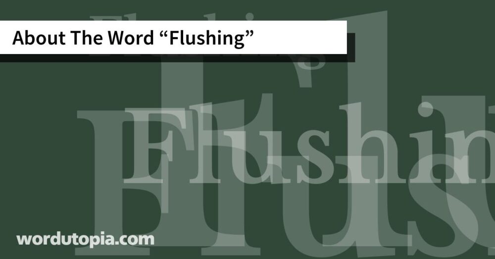 About The Word Flushing