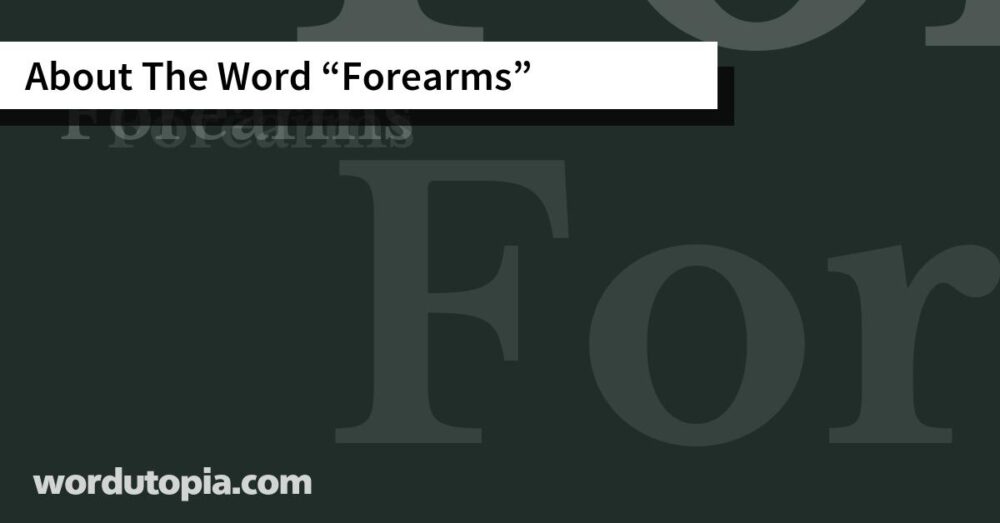 About The Word Forearms