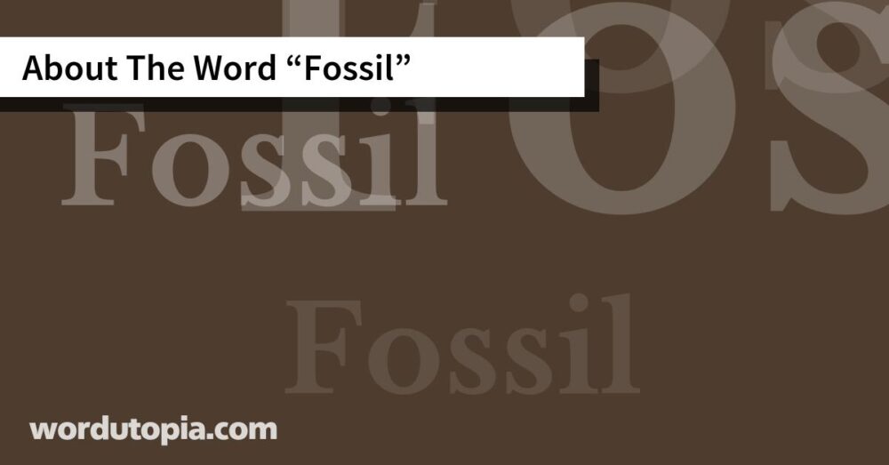 About The Word Fossil