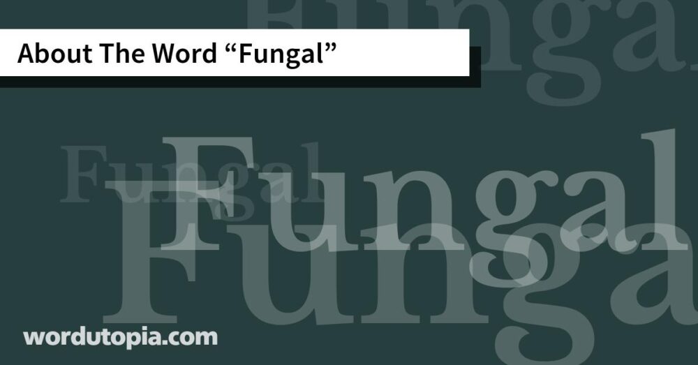 About The Word Fungal
