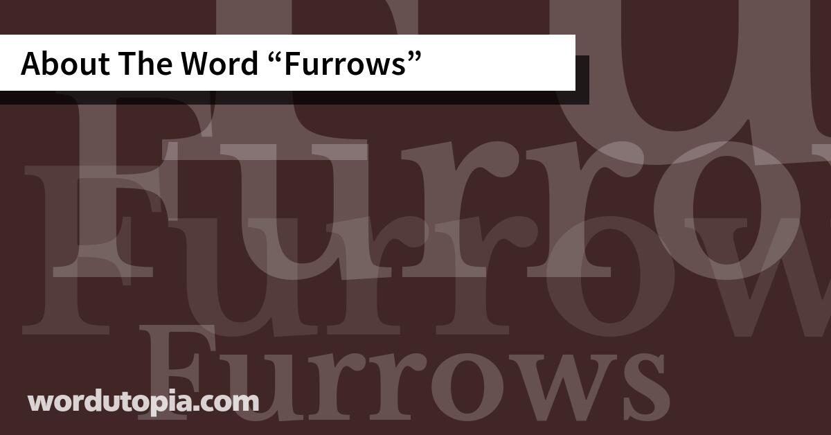About The Word Furrows