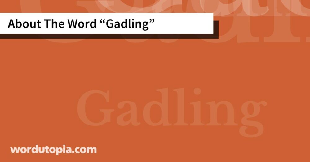 About The Word Gadling