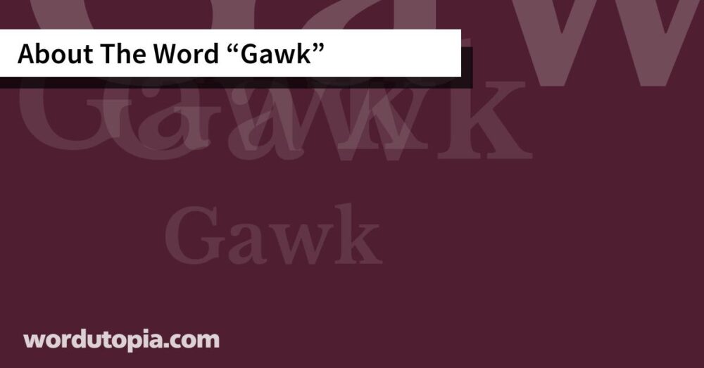 About The Word Gawk