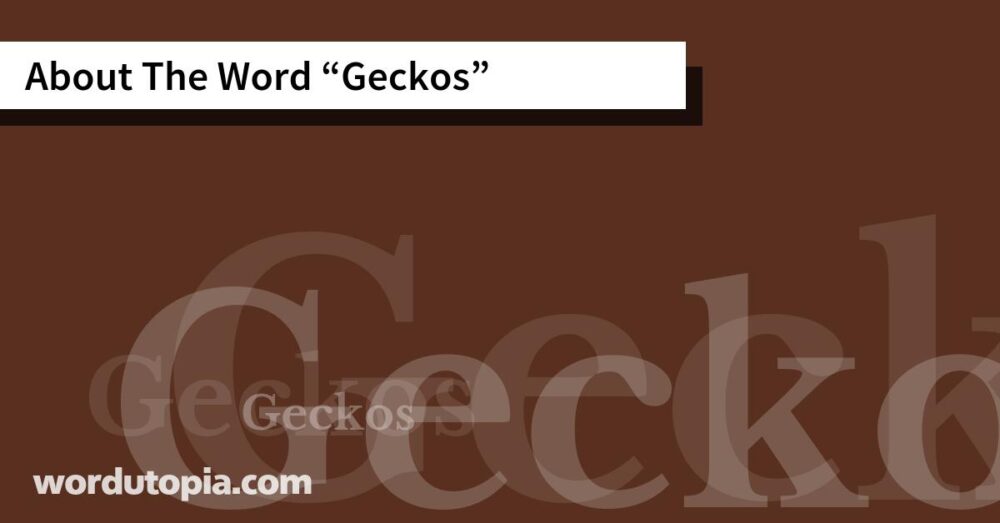 About The Word Geckos