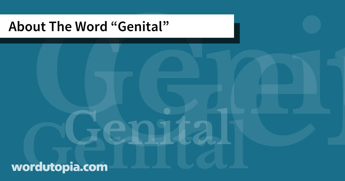 About The Word Genital